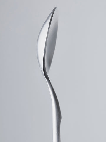 Brushed Silver Spoon - 12pc