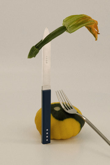 Brushed Silver Steak Knife - Single