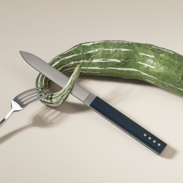 Brushed Silver Steak Knives - 6pc